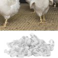 thumbnail image 1 of Poultry Leg Bands, Six Card Slots Retractable Used Flexibly Distinguish Different Varieties Chicken Foot Rings  For Outdoors For Poultry For Daily For Home, 1 of 8