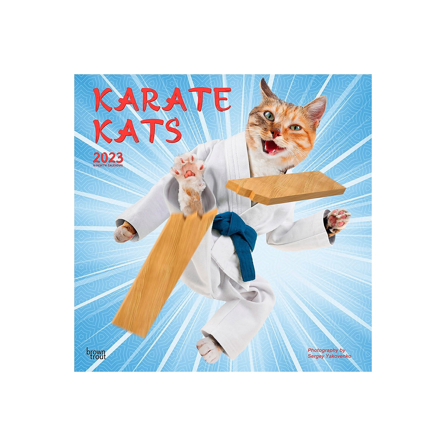 2023 BrownTrout Karate Cats 12'' x 12'' Monthly Wall Calendar (9781975455903)