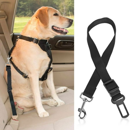iMounTEK 1 PC Adjustable Dog Safety Leash Belt Tangle Free Pet Harness Lead Belt Walking Dog Vehicle (Best Vehicle For Dog Walking Business)