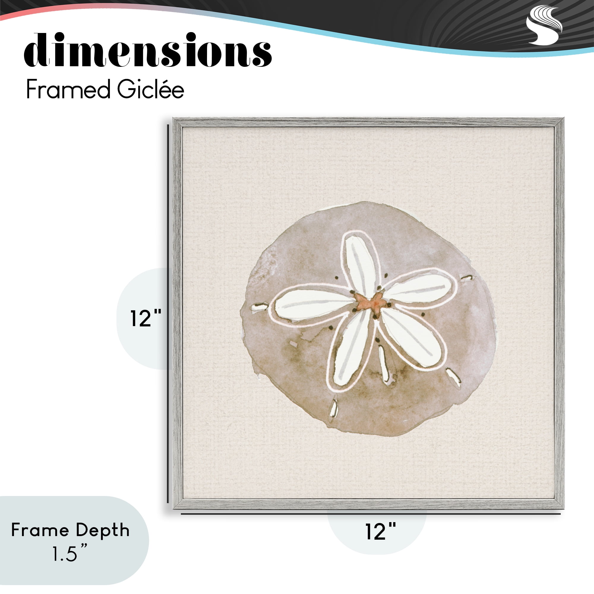 Stupell Industries Serene Beige Sand Dollar Gray Framed Giclee Art, design by Lanie Loreth