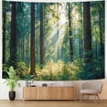 thumbnail image 7 of Sunlit Forest Landscape Tapestry, Tranquil Nature Wall Hanging for Room Decor, Peaceful Greenery Home Decor 40''L x 30''W, 7 of 7
