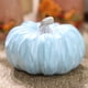 thumbnail image 3 of Decoración de calabaza multicolor de Acción de Gracias, ventana de exhibición de mesa, accesorios para fotos, 3 of 5