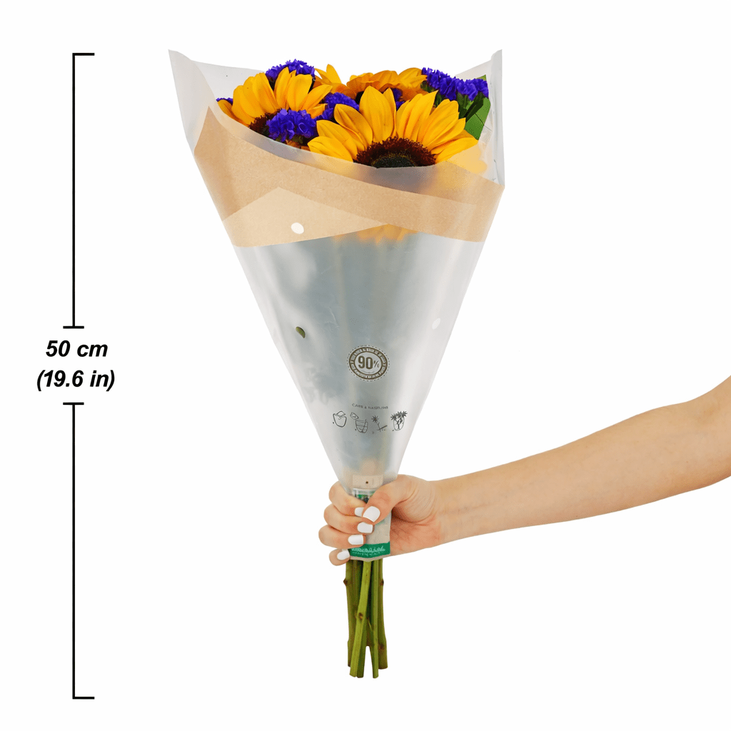 Assorted Sunflowers, Colors May Vary