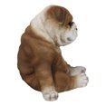 thumbnail image 5 of American Pedigree Dogs Lifelike Bulldog Puppy Dog Laid Back Sitting Figurine, 5 of 9