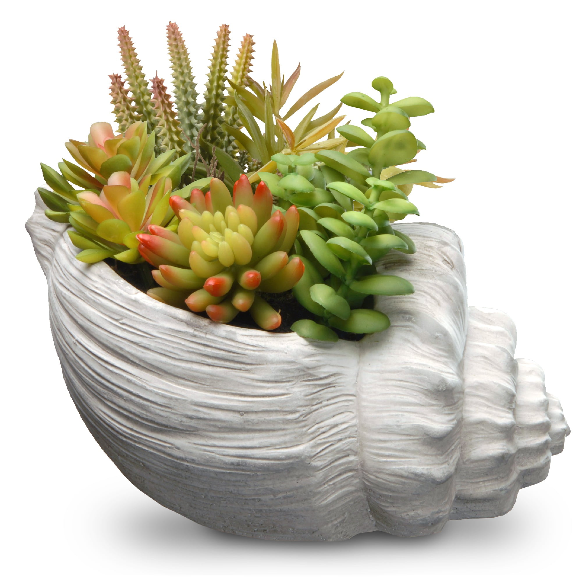 9.8" Succulent Plants Ceramic Pot