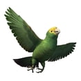 thumbnail image 2 of Double Yellow-headed Amazon Parrot Wall Decal Sticker, Wallmonkeys Peel & Stick Vinyl Graphic (36 in W x 33 in H), 2 of 4