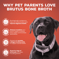 thumbnail image 5 of Brutus Bone Broth Probiotic Meal Toppers for Dogs Mega Pack (Pork) - Pet Food Topper - Bone Broth Powder Fortified - Pet Safe Human Grade Dog Food Topper - Makes Up to 130 Liquid Oz, 5 of 10