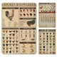 thumbnail image 1 of Placa Metal Vintage Pollo Artística Pintura Hierro Rectangular 30x40cm 3 Uds., 1 of 9