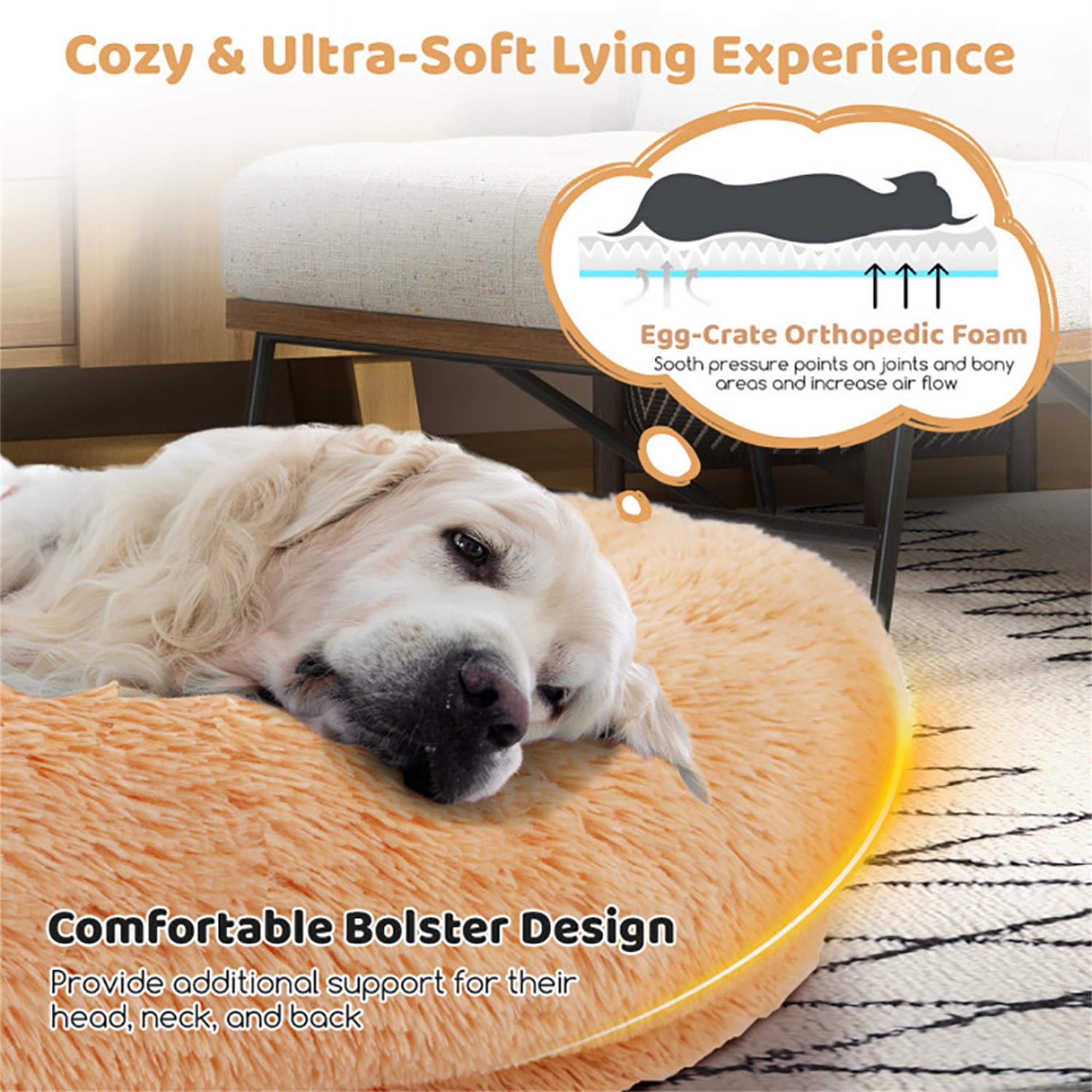 Kadyn 68" Dog Bed Sofa for Large Dogs with Soft Blanket and Plump Pillow, Stylish Washable Fluffy Pet Couch Furniture, Beige