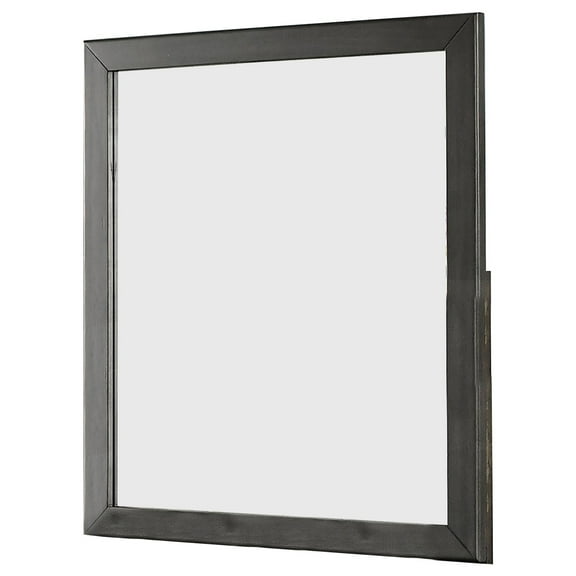 32 Inch Transitional Style Wooden Frame Mirror, Gray