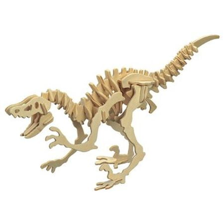 Deinonychus Velociraptor Wooden Dinosaur Skeleton Model Kit - Walmart.com