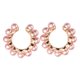 thumbnail image 4 of Nestingho Sweet Earrings Con De En Aleación Y Resistente, 4 of 6