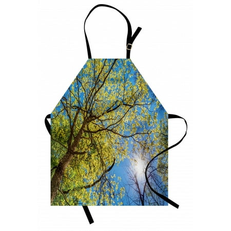 

Forest Apron Tree Branches Pastoral Lumber Wide Flourishing Natural Beauty Eco Backed Image Art Unisex Kitchen Bib Apron with Adjustable Neck for Cooking Baking Gardening Green Blue by Ambesonne