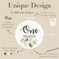 thumbnail image 5 of Gooji Baby Monthly Stickers – Premium Greenery Baby Milestone Stickers for Newborns – 24 pcs Cute Botanical Month Stickers for Baby Girl and Boy – 4 x 4-inch Different Stickers for Monthly Photoshoot…, 5 of 6