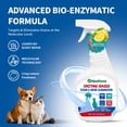 thumbnail image 2 of Neathova Stain & Strong Odor Eliminator, Enzyme Cleaner, Pet Odor Eliminator for Home - Carpet Stain Remover for Cats & Dog Pee - Urine Destroyer - Carpet Cleaner Spray Clear (Lemon), 2 of 7