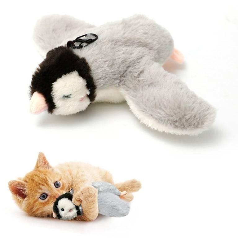 Dogs and catnip clearance toys