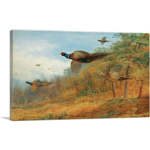 ARTCANVAS Pheasants Breaking Out Of Cover 1908 Canvas Art Print by Archibald Thorburn - Size: 26" x 18" (0.75" Deep)