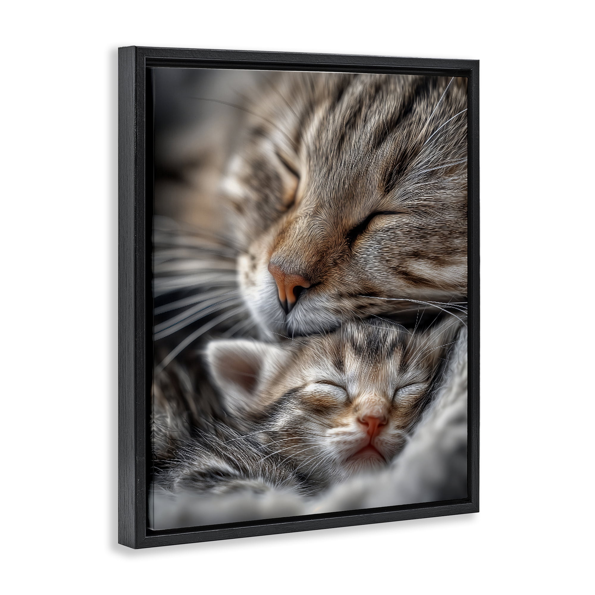Stupell Industries Kitty Love Cuddles Black Framed Floater Canvas Wall Art, design by Scott Stulberg