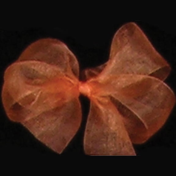 The Ribbon People Bronze Solid Organdy Craft Ribbon 4" x 55 Yards