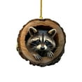 thumbnail image 3 of CoreLiving Raccoon Ornament, Christmas Ornaments 2025, Forest Animal Ornaments Set, Acrylic Hanging Decor Gift for Animal Lovers, Tree Decorations, 3 of 9