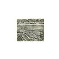 thumbnail image 3 of Historic Panoramic View - Emporia Virginia - Fowler 1907 - 28.57 x 23 - Vintage Wall Art, 3 of 5