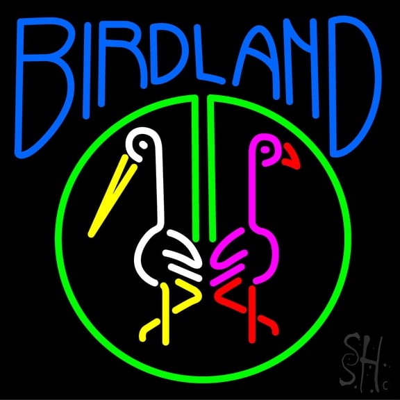 Birdland LED Neon Sign 16" Tall x 16" Wide - inches Black Square Cut Acrylic Backing, with Dimmer - Premium built indoor Sign for Club, Home décor, Event, Workshop, Storefront.