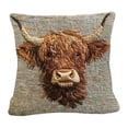 thumbnail image 2 of Tuvgenk Indoors Throw Pillow Covers Polyester 18x18 In Embroidered Pillowcases Decor Cow Multicolor for Patio, 2 of 6