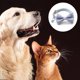 thumbnail image 3 of Dinheiro Juego de collar y correa para perro con dispensador de bolsas para excrementos Collar para niña con cierre metálico de seguridad y lindo, 3 of 5
