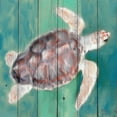 thumbnail image 2 of Allen, Kimberly 20x20 Gold Ornate Wood Framed with Double Matting Museum Art Print Titled - Sea Turtle, 2 of 4