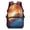 Ice Fire Baseball, variant on Aplkyhs Cherry Blossom Capybara School Backpack for Boys Girls Ages 6-18 Large Capacity Ergonomic Padded Adjustable Shoulder Straps for Elementary Middle High School Daily Use Travel
