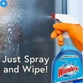 thumbnail image 7 of Windex Trigger+ Plus Glass & Surface Cleaner, 128 oz., 7 of 7