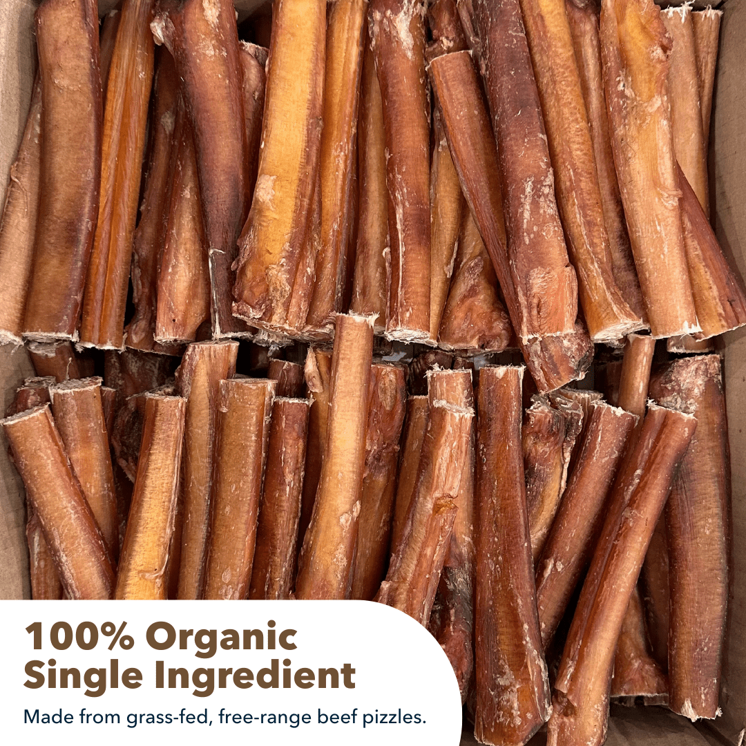 6" Jumbo Bully Sticks