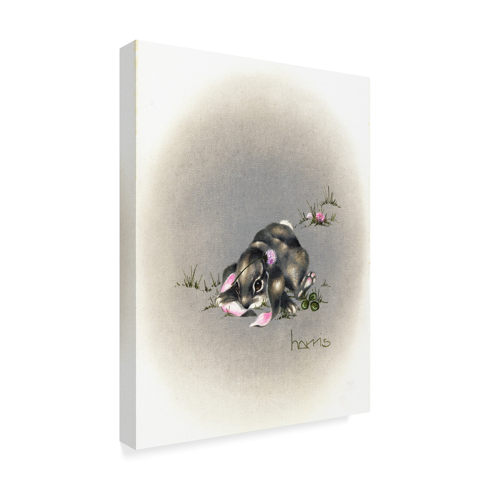 Trademark Fine Art 'Ear We Go Again' Canvas Art by Peggy Harris