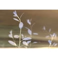 thumbnail image 3 of Marmont Hill - "Tranquility VI" by Sia Aryai Painting Print on Wrapped Canvas, 3 of 5