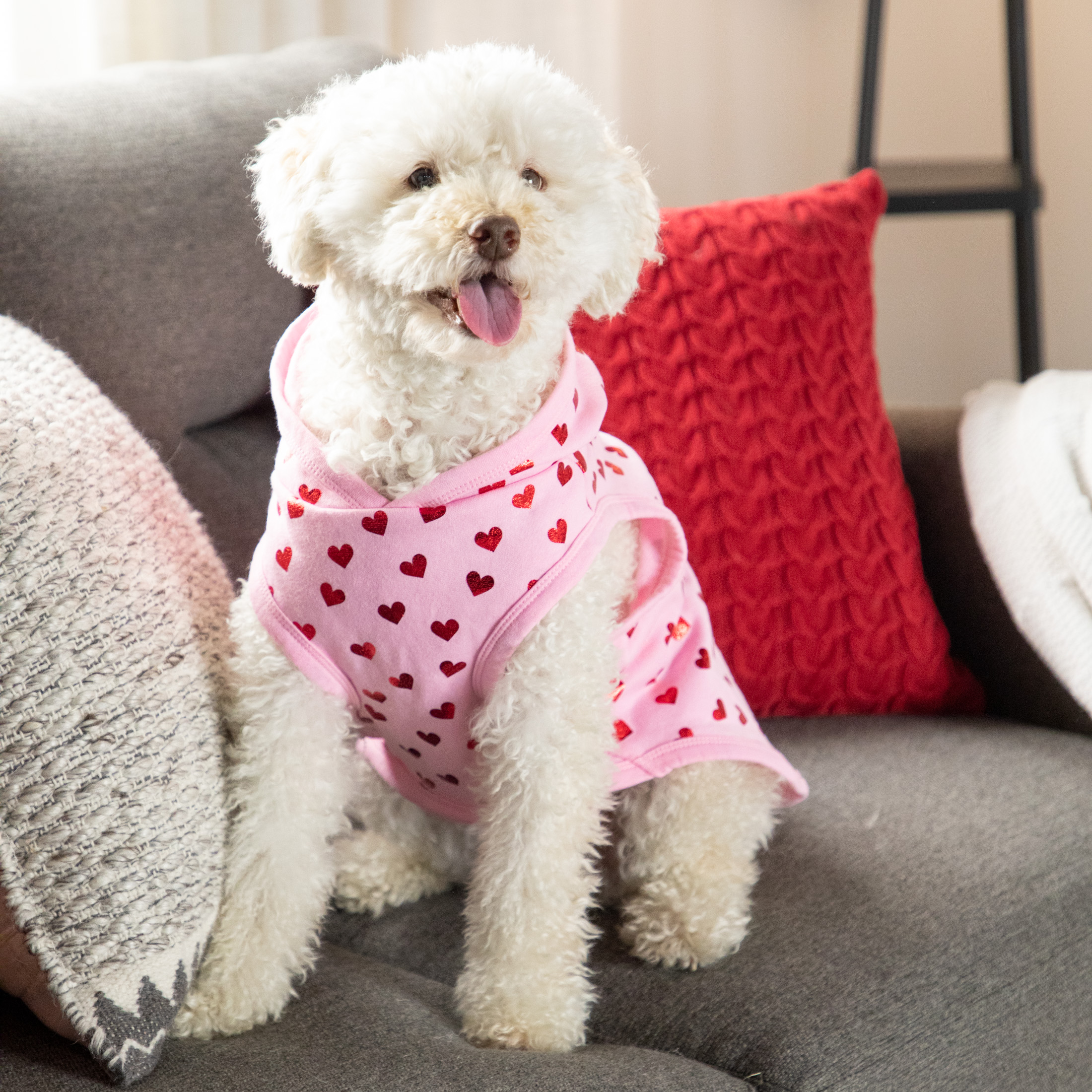 Red Hearts Cute Play Dog Hoodie