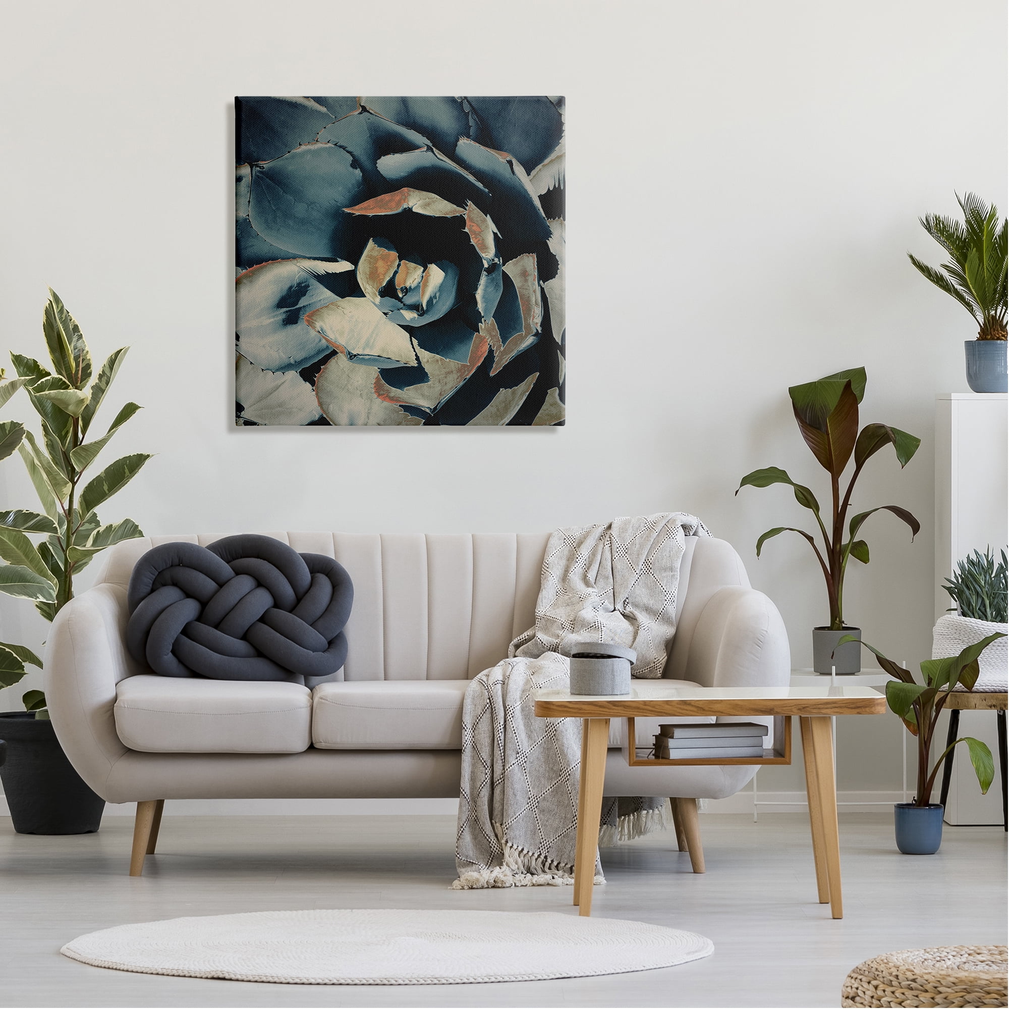 Stupell Industries Modern Succulent Leaves Botanical & Floral Painting Gallery Wrapped Canvas Print Wall Art, 30 x 30