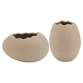 thumbnail image 5 of 2Pcs Egg Shaped Vase for Simple Hydroponics and Flower Arrangement as Home Decor, 5 of 8