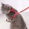 thumbnail image 3 of Lightweight Adjustable Cat Harness and Leash Set Escape Proof Kitten Strap Collar for Walking Travel Small Animals Puppy Harness, 3 of 9