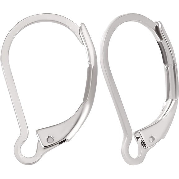 1 Box 100Pcs Leverback Earring Hooks 304 Stainless Steel French Earring Hooks Earwire Findings 16.5x10mm