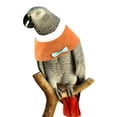 thumbnail image 2 of Bird Recovery Collar Adjustable - Bowknot Parrot Neck Cone Bird Plucking Collar, 2 of 10