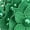 Blackish Green, variant on Fake Collar Detachable Floral Lace Dickey Blouse for Women Elegant Sweet Faux False Inserts for Casual Outdoor Daily Wear Summer Beige