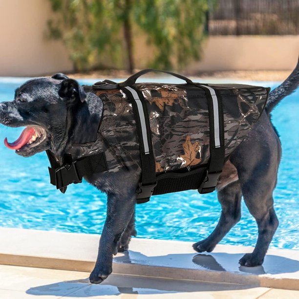 Dog hotsell buoyancy aid