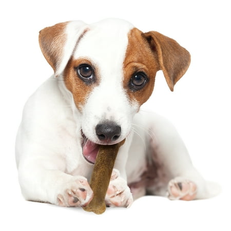 UPC: 0018214816348 | Nylabone Healthy Edibles Regular Roast Beef Flavored Dog Treats 3 Count