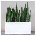 Brisbane Rectangle Fiberglass Planter Box (L30" x W10" x H10", Matte
