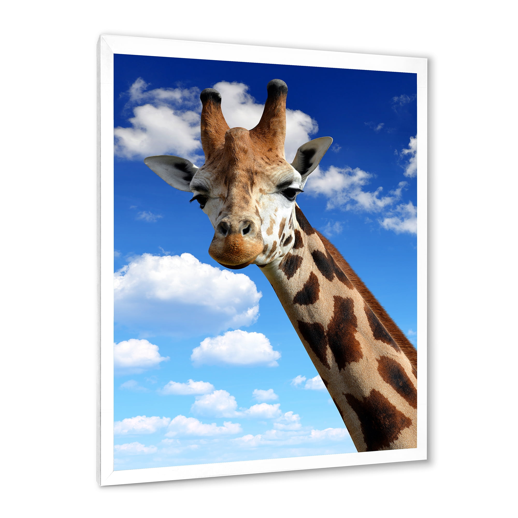 Designart 'A Giraffe On A Blue Sky Portrait' Farmhouse Framed Art Print