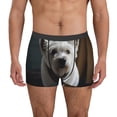 thumbnail image 2 of Goofa Dog Wrapped in Towel 1 Printed Men's Boxer Briefs Underwear, Moisture-Wicking Underwear, Trunk,Soft and Breathable Cotton Underwear-XX-Large, 2 of 9