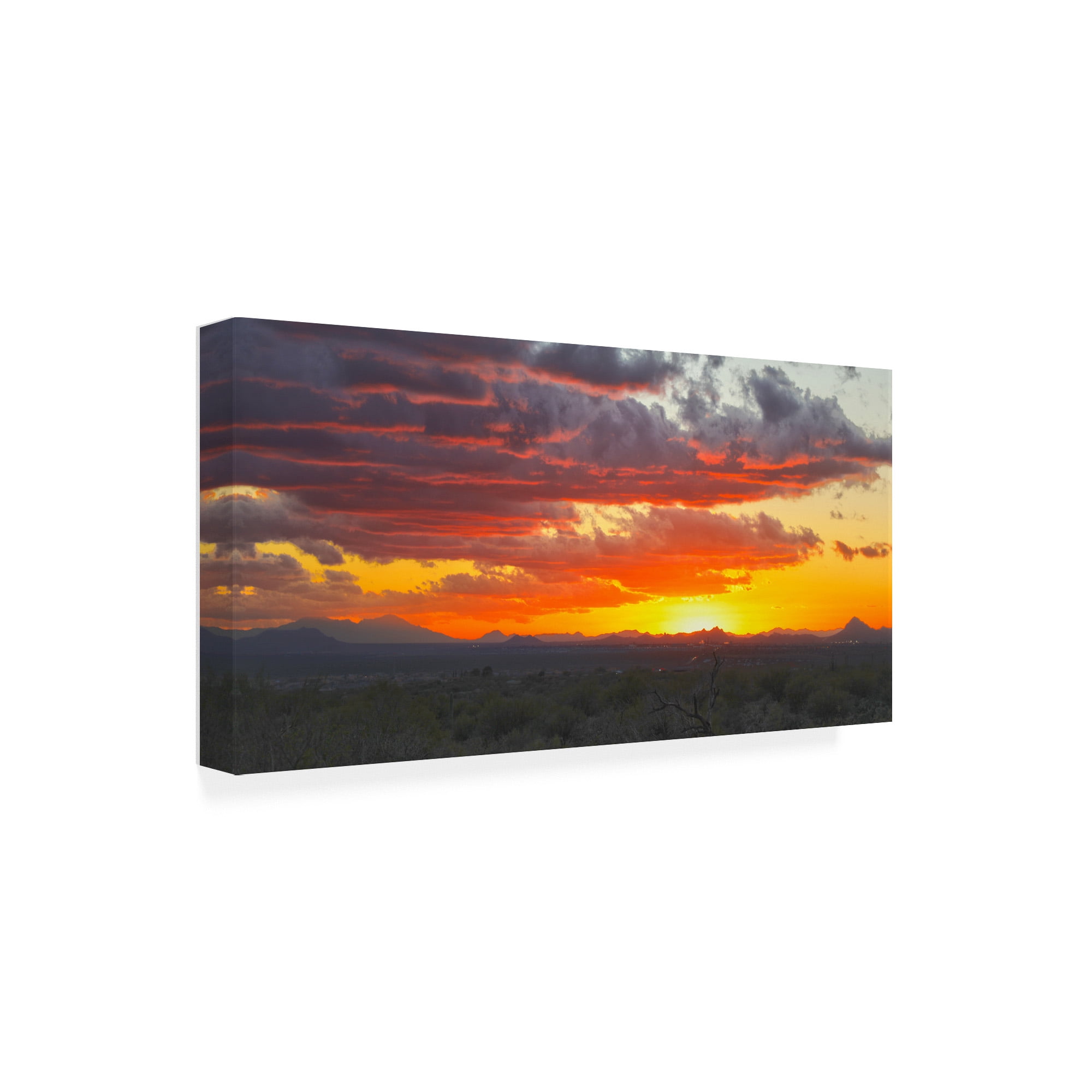 Trademark Fine Art 'Sonoran Desert Sunset' Canvas Art by Mitch Catanzaro