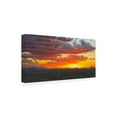 thumbnail image 2 of Trademark Fine Art 'Sonoran Desert Sunset' Canvas Art by Mitch Catanzaro, 2 of 3