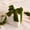Green, variant on Velvet Ribbon Flocked Tear Edge Ribbon for Bouquets Handmade Frayed Wedding Gift Wrapping Christmas Trim Vintage Fabric Crafts DIY Card Making Invitations Decor Gold