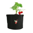 thumbnail image 4 of Bolsa Para Plantar, 4 Macetas Para Plantas Duraderas Para Exteriores Para Solárium Para Balcón Para Jardín ANGGREK No, 4 of 8